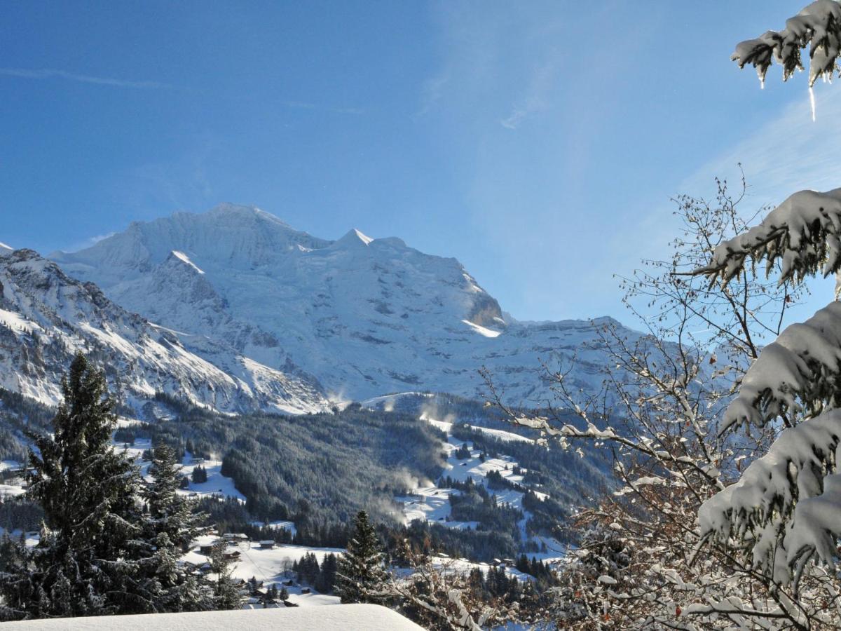 Apartment Plein Soleil By Interhome Wengen Exterior photo